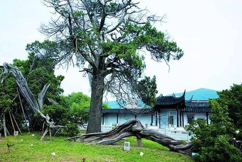 某餐厅海信中(zhōng)央空调系统吸顶机工(gōng)程